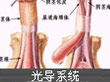 前列腺疾病